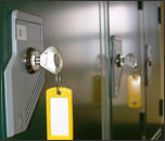 ���̑��̌��̎ʐ^